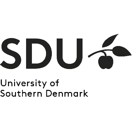 University of South Denmark